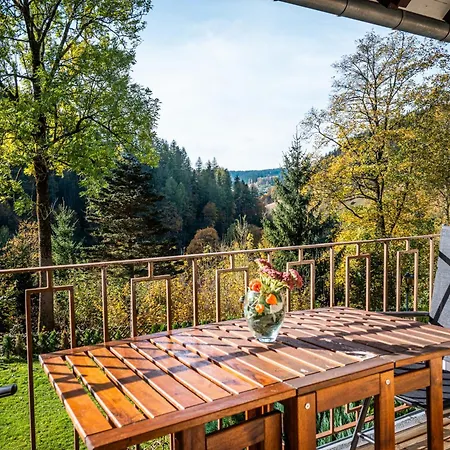 Affittacamere Haus Rauszeit Wildemann
