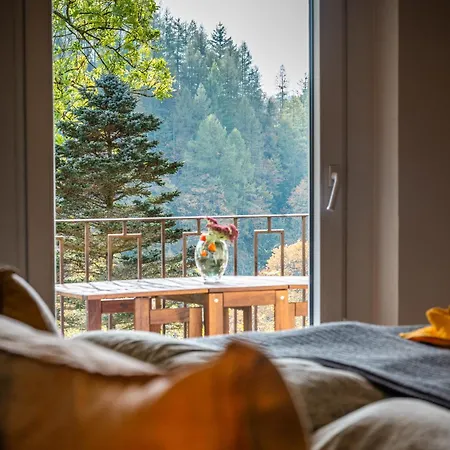 Pensión Haus Rauszeit Wildemann