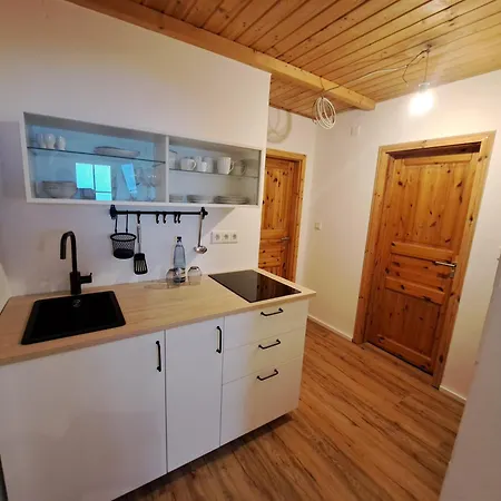 Haus Rauszeit Pensión Wildemann